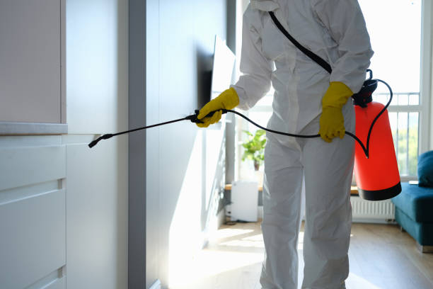 Best Residential Mold Removal  in Avon, MN