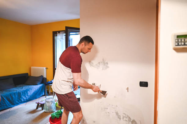 Best Mold Cleaning Services  in Avon, MN